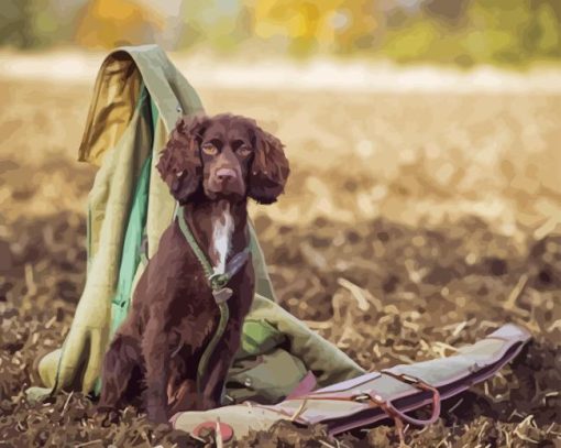 Brown Working Spaniel Diamond Painting