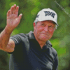 Gary Player Diamond Painting