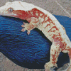 Crested Gecko Diamond Painting