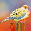 Mourning Dove Bird Diamond Painting