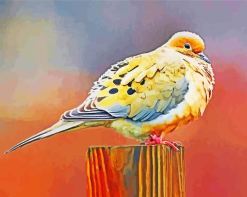 Mourning Dove Bird Diamond Painting