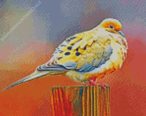 Mourning Dove Bird Diamond Painting