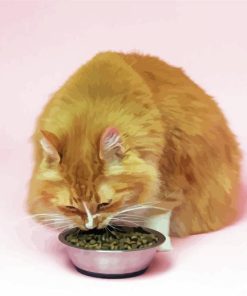 Orange Cat With Food Diamond Painting