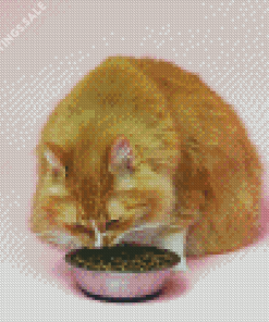 Orange Cat With Food Diamond Painting