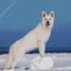 White German Shepherd Diamond Painting