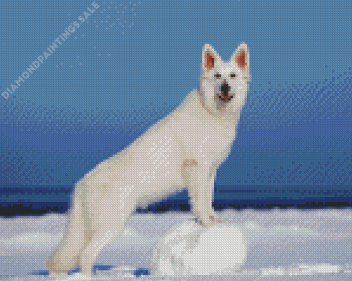 White German Shepherd Diamond Painting