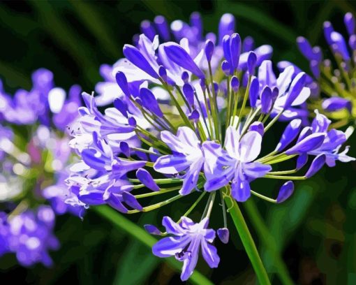 Agapanthus Plant Diamond Painting