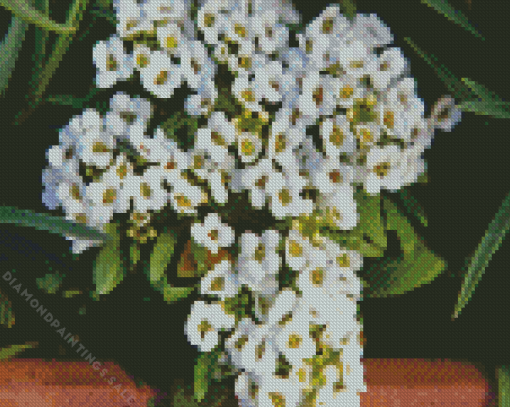 Alyssum Plant Diamond Painting