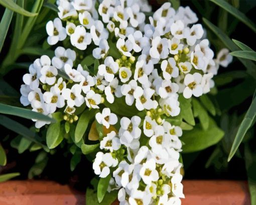 Alyssum Plant Diamond Painting