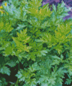 Artemisia Plant Diamond Painting