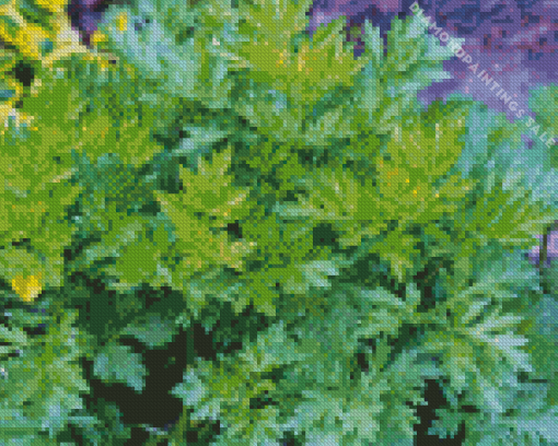 Artemisia Plant Diamond Painting