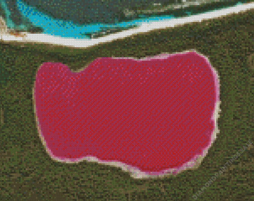 Australia Hillier Pink Lake Diamond Painting