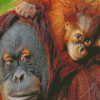 Baby Orangutan Diamond Painting