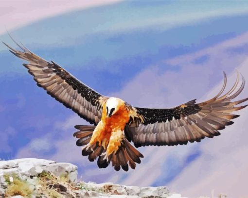 Bearded Vulture Bird Diamond Painting