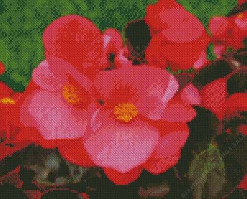 Begonia Plant Diamond Painting