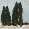 Belgian Sheepdogs Diamond Painting