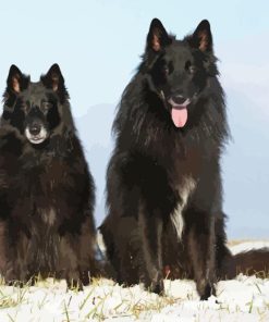 Belgian Sheepdogs Diamond Painting