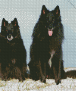 Belgian Sheepdogs Diamond Painting