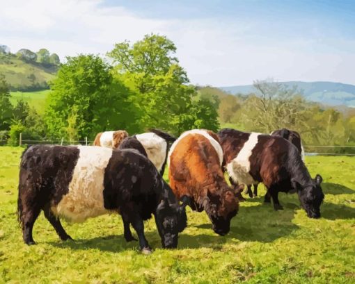 Belted Galloway Diamond Painting