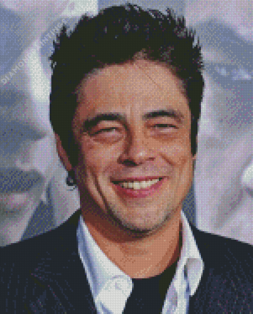 Benicio Del Toro Diamond Painting