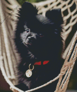 Black Pomeranian Diamond Painting