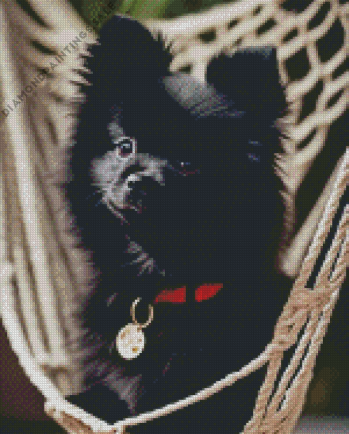 Black Pomeranian Diamond Painting