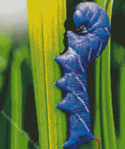 Blue Caterpillar Diamond By Numbers