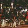 Budweiser Clydesdales Show Diamond Painting