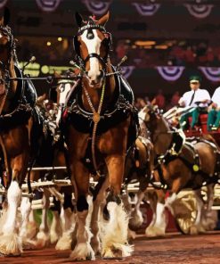 Budweiser Clydesdales Show Diamond Painting