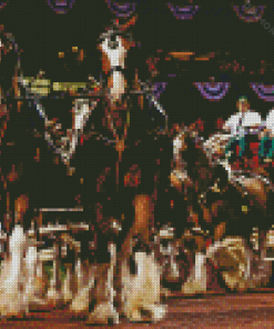 Budweiser Clydesdales Show Diamond Painting