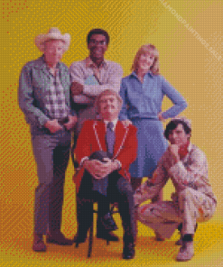 Captain Kangaroo Diamond Painting