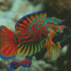 Colorful Mandarin Fish Diamond Painting