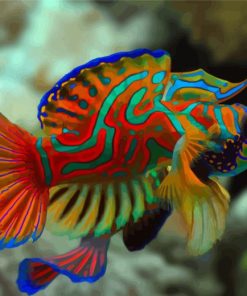 Colorful Mandarin Fish Diamond Painting