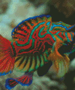 Colorful Mandarin Fish Diamond Painting