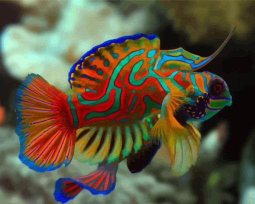 Colorful Mandarin Fish Diamond Painting