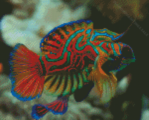 Colorful Mandarin Fish Diamond Painting