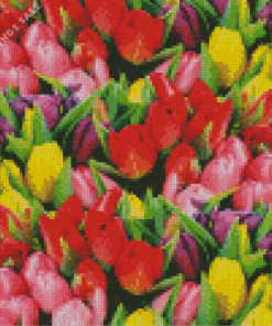 Colorful Tulips Diamond Painting