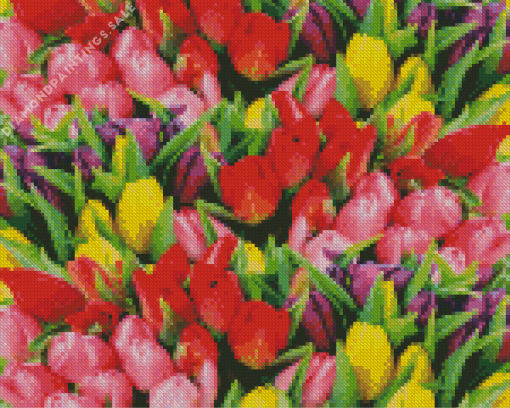 Colorful Tulips Diamond Painting