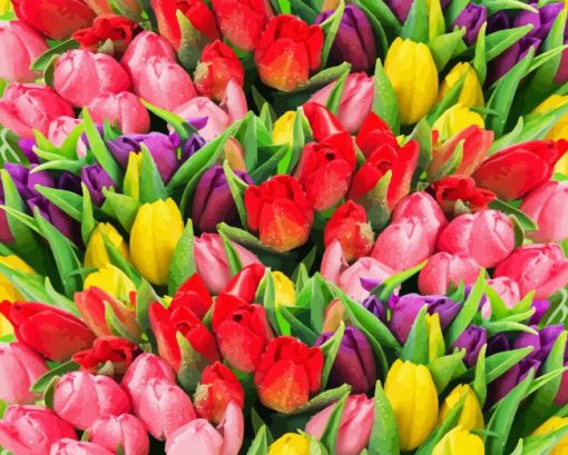 Colorful Tulips Diamond Painting