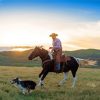 Cowboy On Horse With Dog Diamond Painting