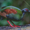 Crested Partridge Diamond Painting