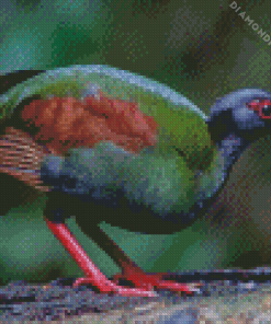 Crested Partridge Diamond Painting