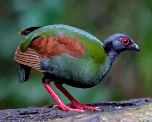 Crested Partridge Diamond Painting