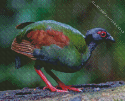 Crested Partridge Diamond Painting