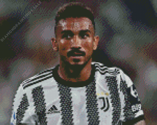 Danilo Luiz Da Silva Diamond Painting