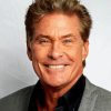 David Hasselhoff Diamond Painting