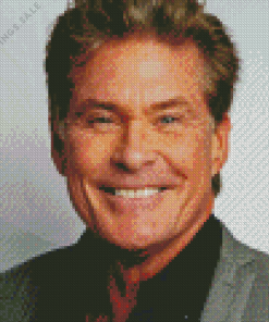 David Hasselhoff Diamond Painting