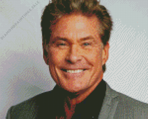 David Hasselhoff Diamond Painting