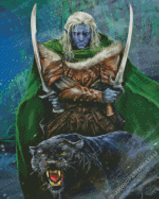 Drizzt Dourden And Jaguar Diamond Painting