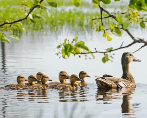 Ducks Swimming In Pond Diamond Painting